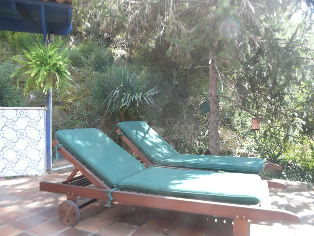 Hostal L'Ou De Reig Montseny Luaran gambar